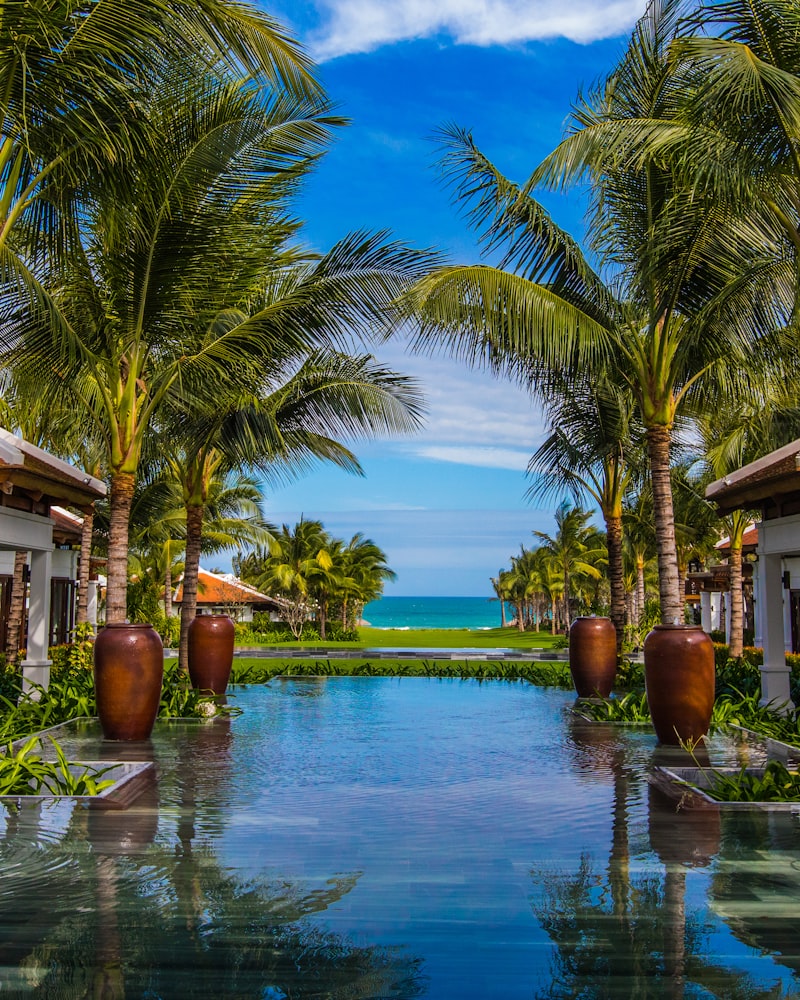 The Essentials Set texture